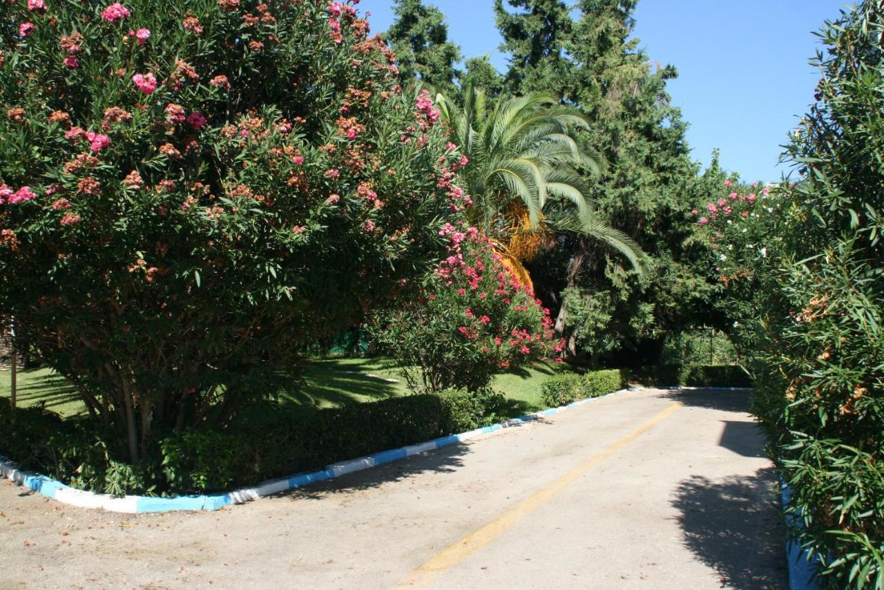 Batis Hotel Livanátai Dış mekan fotoğraf